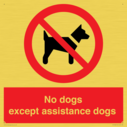 no-dogs-except-assistance-dogs~